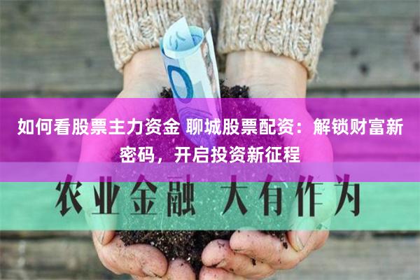 如何看股票主力资金 聊城股票配资：解锁财富新密码，开启投资新征程
