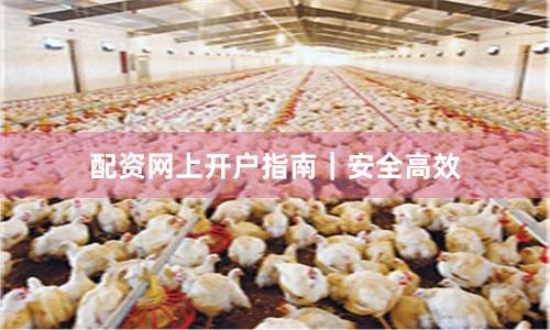 配资网上开户指南｜安全高效